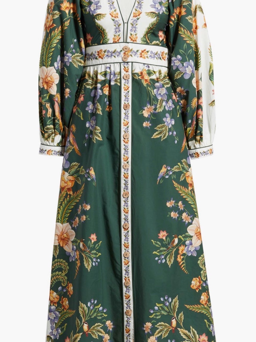 Farm Rio Green Floral Button-Front Maxi Dress